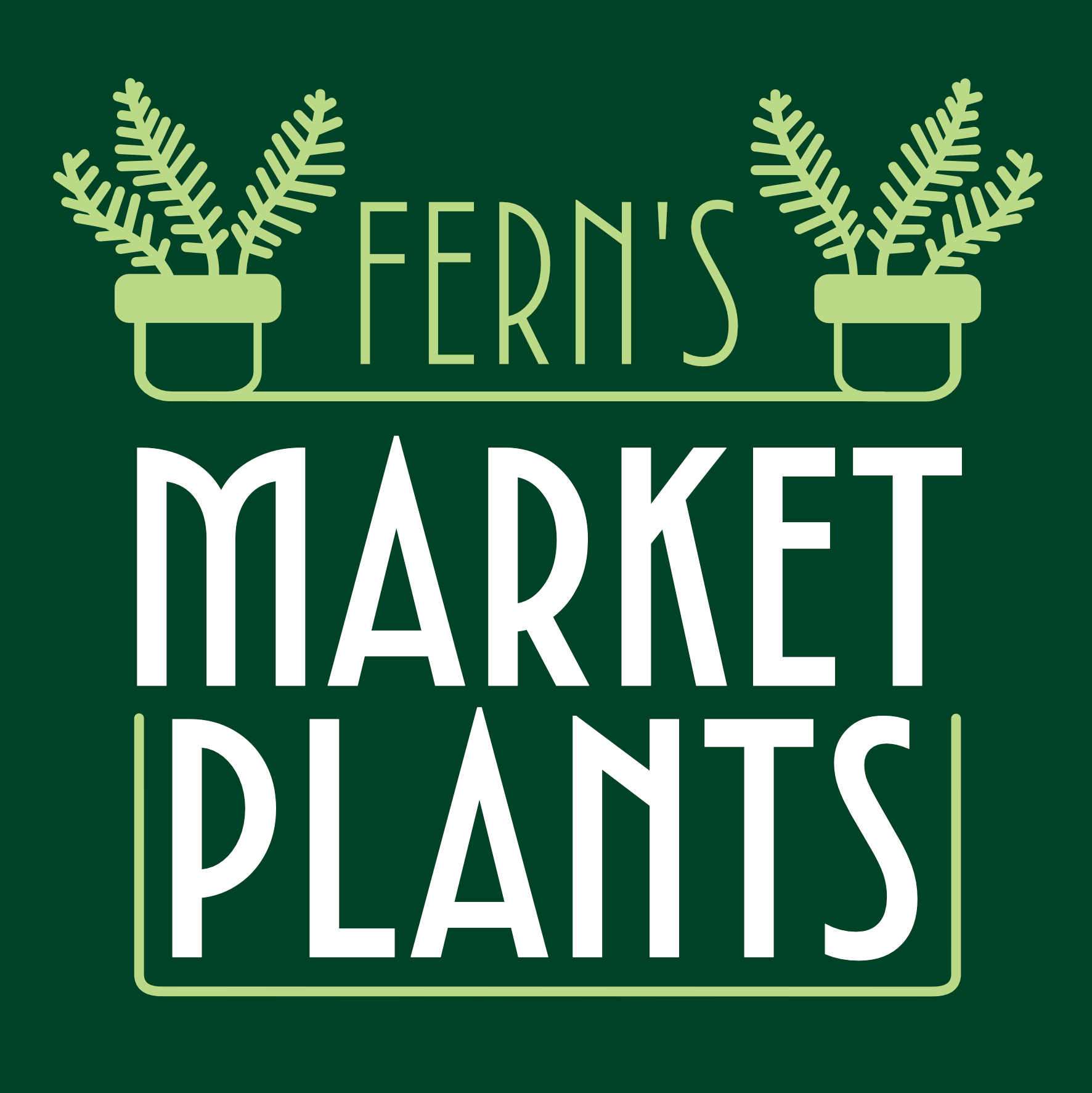 Ferns Market Plants
